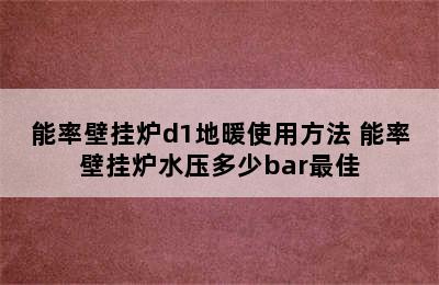 能率壁挂炉d1地暖使用方法 能率壁挂炉水压多少bar最佳